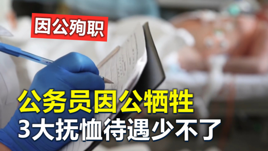 管家婆最准免费资料大全,周云杰称不想当网红,最新答案解释落实_精简版V11.16